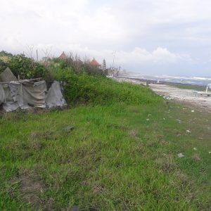 Beach front Land 2100 sqm for sale in Ketewel Beach Bali