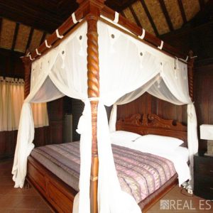Freehold Villa For Sale in Ubud